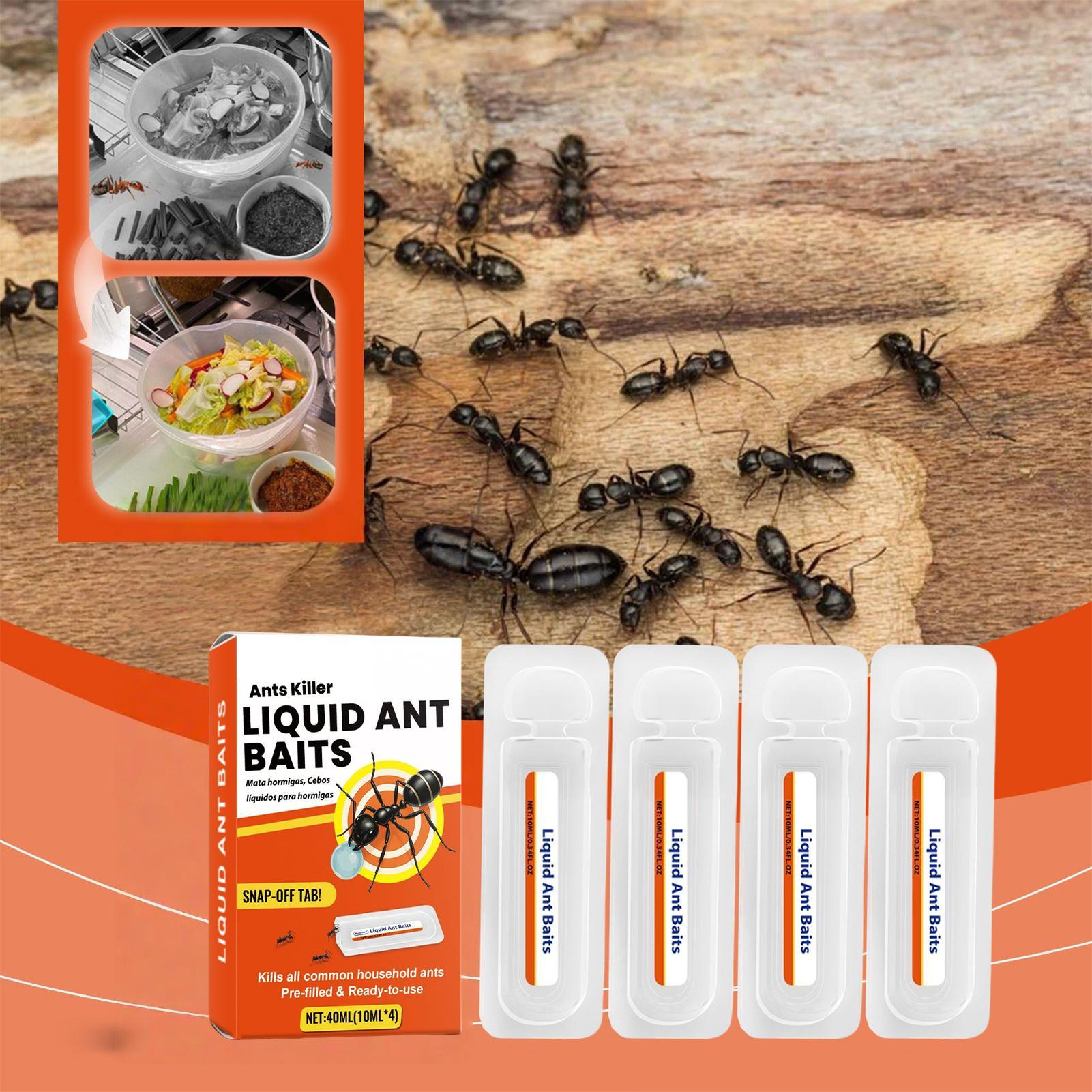 New Ant Bait Traps Indoor Ant  - огляд і ціна Home Security Outdoor